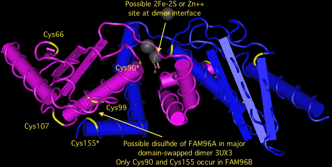 File:FAM96A.png